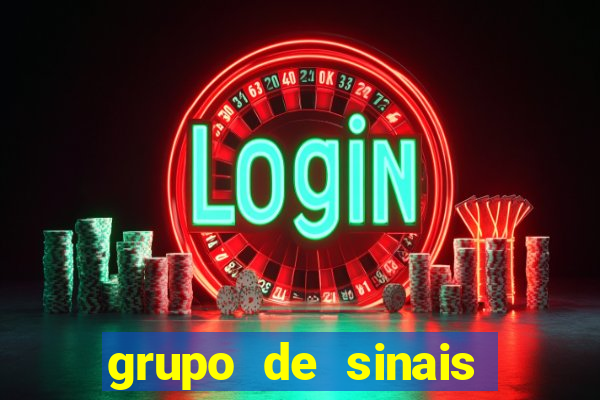 grupo de sinais fortune rabbit